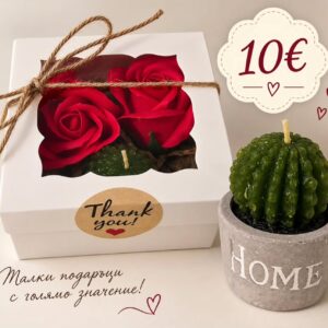 Сапунени рози и свещ „Кактус“ — червено